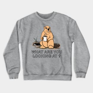 Funny Groundhog Day WHAT ARE YOU LOOKING AT? Crewneck Sweatshirt